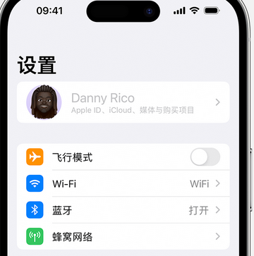 城厢appleID维修服务iPhone设置中Apple ID显示为灰色无法使用 