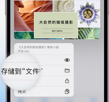 城厢apple维修中心分享iPhone文件应用中存储和找到下载文件