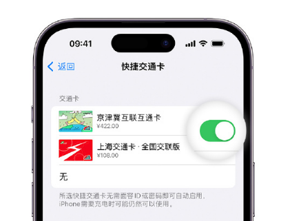 城厢apple维修点分享iPhone上更换Apple Pay快捷交通卡手绘卡面 