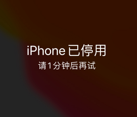 城厢苹果手机维修分享:iPhone 显示“不可用”或“已停用”怎么办？还能保留数据吗？ 