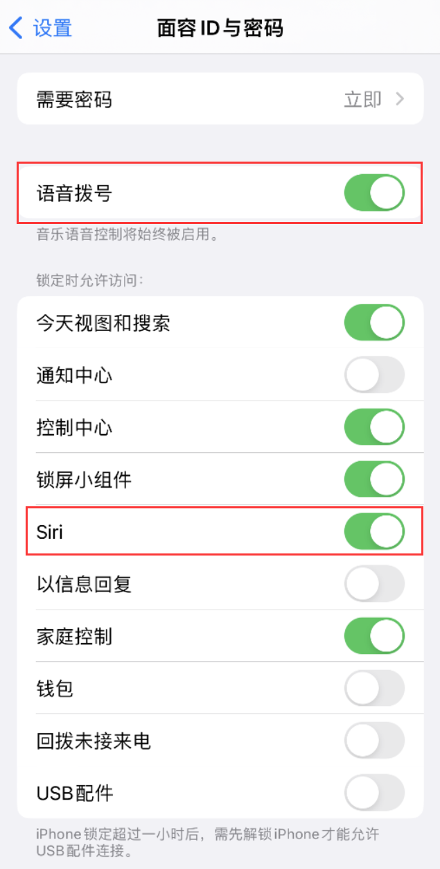 城厢苹果维修网点分享不解锁 iPhone 的情况下通过 Siri 拨打电话的方法 