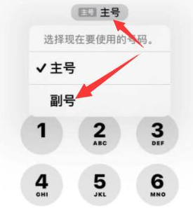 城厢苹果14维修店分享iPhone 14 Pro Max使用副卡打电话的方法 