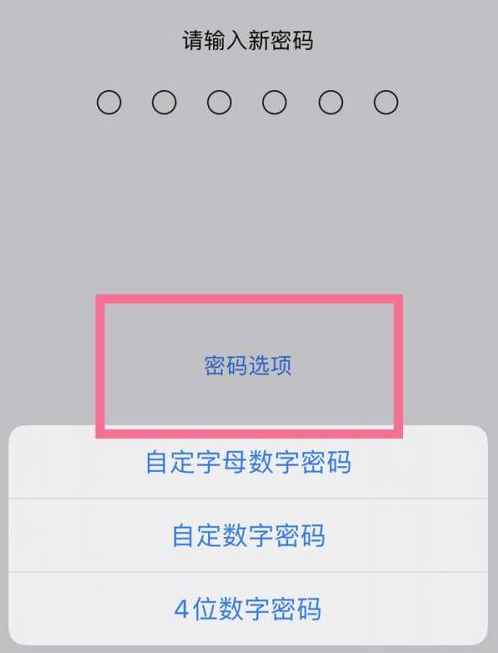 城厢苹果14维修分享iPhone 14plus设置密码的方法 