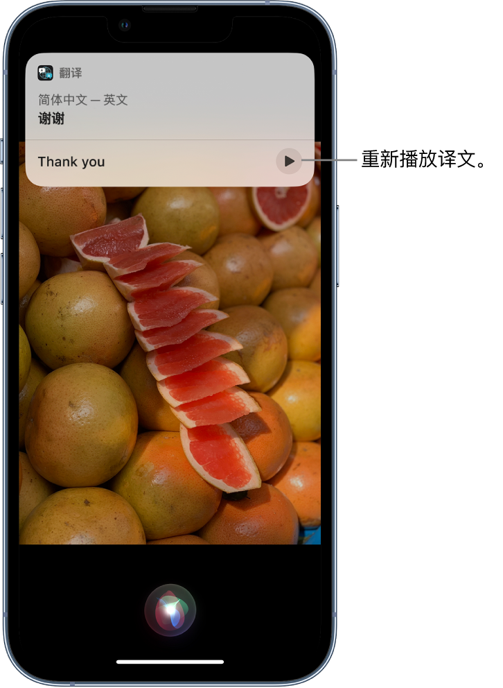 城厢苹果14维修分享 iPhone 14 机型中使用 Siri：了解 Siri 能帮你做什么 