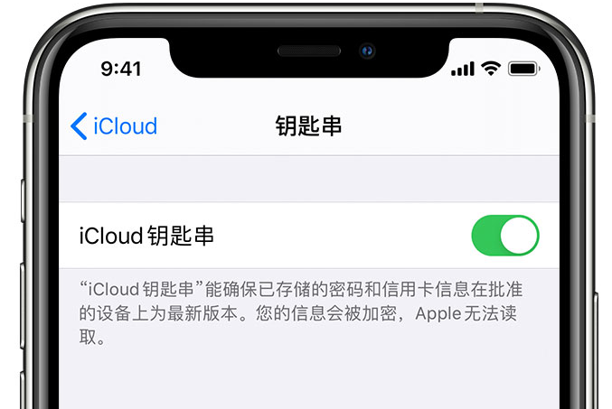 城厢苹果手机维修分享在 iPhone 上开启 iCloud 钥匙串之后会储存哪些信息 