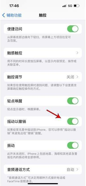 城厢苹果手机维修分享iPhone手机如何设置摇一摇删除文字 