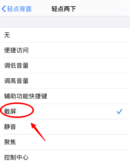 城厢苹果手机维修分享iPhone12如何启用双击截屏 