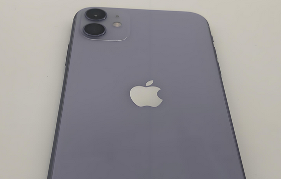 城厢苹果11系统维修分享iPhone11手机系统崩溃无法开机如何解决 